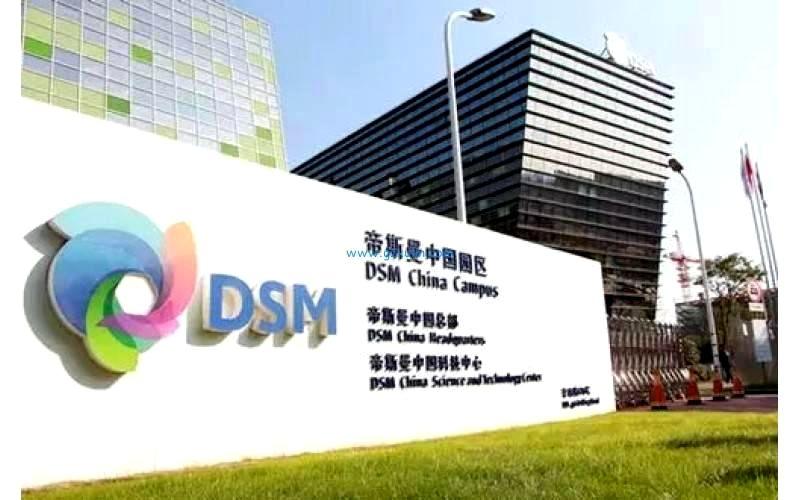 DSM 帝斯曼 全球优质化妆品防晒原料生产厂家